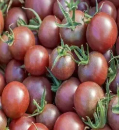 toraf-nasiona-czarne-pomidorki-koktajlowe-black-cherry-wysoka-odmiana-03g