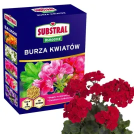 substral-osmocote-burza-kwiatow-balkon-nawoz-do-roslin-balkonowych-300g