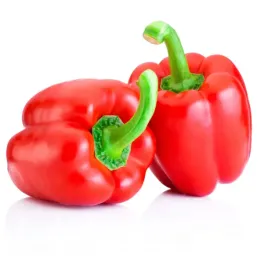 toraf-papryka-granova-czerwon-pierwszorzedna-odmiana-nasiona-czerwona