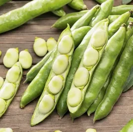 biopon-nasiona-bob-windsor-bialy-duze-nasiona-30g