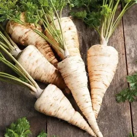 toraf-nasiona-pietruszka-cukrowa-bardzo-wczesna-aromatyczna-plenna-5g