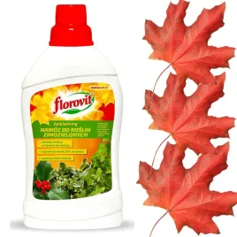 florovit-nawoz-jesienny-w-plynie-do-rododendronow-bukszpanow-bluszczy-1l