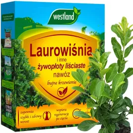 westland-nawoz-do-laurowisni-i-innych-zywoplotow-lisciastych-krzewienie-1kg