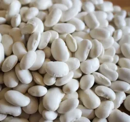 biopon-nasiona-fasola-aura-na-suche-nasiona-35g