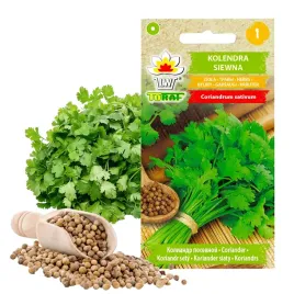 toraf-nasiona-kolendra-siewna-swieze-ziola-do-curry-garam-masala-salatek-2g
