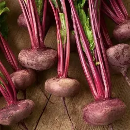 biopom-nasiona-wczesny-smaczny-prosta-pielegnacja-smaczny-burak-egipski-15g