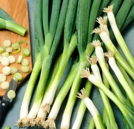 biopom-nasiona-odporna-na-mroz-cebula-siedmiolatka-bajkal-szczypiorek-05g