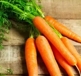 biopon-nasiona-marchew-jadalna-typ-amsterdam-4-g