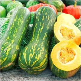 toraf-nasiona-dynia-pizmowa-lunga-di-napoli-gigantyczne-owoce-do-15-kg-4g