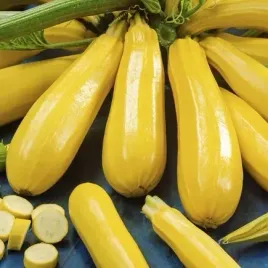 toraf-nasiona-dynia-zwyczajna-cukinia-goldena-wybitne-walory-smakowe-3g