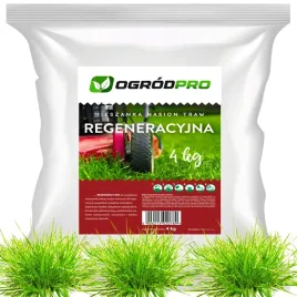 trawa-mieszanka-nasiona-traw-odporna-na-deptanie-gesta-regeneracyjna-4-kg
