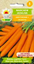 toraf-nasiona-marchew-marchwi-amsterdam-wczesna-plenna-odmiana-5g