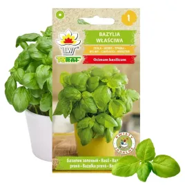 toraf-nasiona-bazylia-zielona-wlasciwa-pospolita-ziola-przyprawa-1g