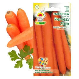 toraf-nasiona-marchew-jadalna-pierwszy-zbior-bardzo-wczesna-soczysta-5g