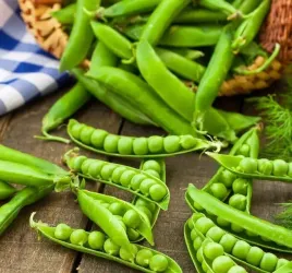 biopon-nasiona-groch-siewny-luskowy-6-tygodni-40g