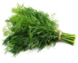 toraf-nasiona-koper-koperek-siewny-ogrodowy-sprinter-swieze-ziola-5g