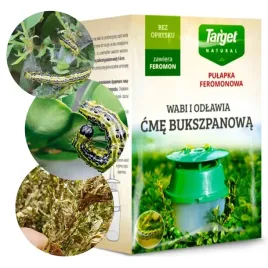 target-pulapka-feromonowa-na-cme-bukszpanowa-eko