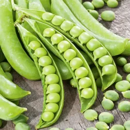 toraf-nasiona-groch-cukrowy-ambrosia-wczesna-odmiana-plenna-50g