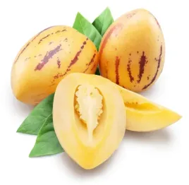 toraf-pepino-wieloletnie-ogrodowe-smak-ananasa-gruszki-melona-nasiona