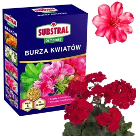 substral-osmocote-burza-kwiatow-balkon-nawoz-do-roslin-balkonowych-300g