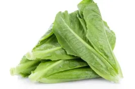 toraf-nasiona-salata-rzymska-parris-island-do-siewu-wiosna-i-lato-1g