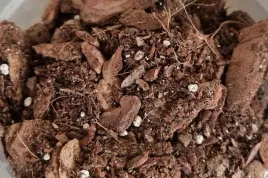 profesjonalne-podloze-do-storczykow-orchidei-kora-kokos-perlit-biovita-3l