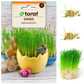 owies-wielkanocny-nasiona-dekoracja-na-stol-wielkanocny-trawa-dla-kota-30g