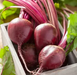 biopom-nasiona-letnio-jesienny-soczysty-burak-cwiklowy-czerwona-kula-15g