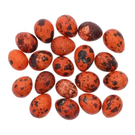 naturalne-przepiorcze-jaja-wydmuszki-jajeczka-wielkanocne-20-szt-3-cm