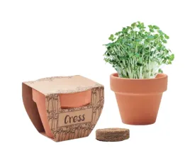 rzezucha-do-zasiania-w-doniczce-torf-na-wielkanoc