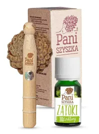 pani-szyszka-zapach-do-auta-zatoki-pozioma