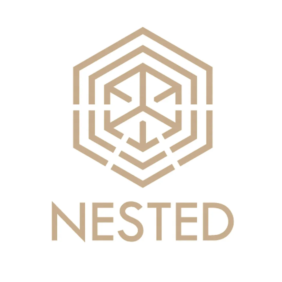 nested-szczoteczka-do-masazu-twarzy