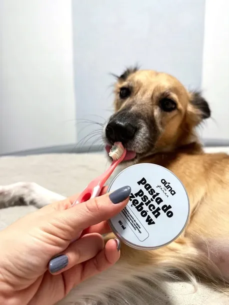 auna-pasta-do-psich-zebow-30-ml-liczba-sztuk-w-zestawie-1-szt