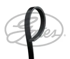 pasek-klinowy-wielorowkowy-gates-4pk1022sf