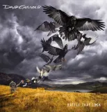 david-gilmour-rattle-that-lock-vinyl-rozmiar-plyty-12