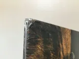 david-gilmour-rattle-that-lock-vinyl-gatunek-rock