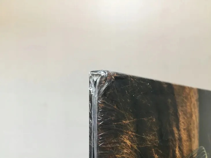 david-gilmour-rattle-that-lock-vinyl-stan-nowy-rozmiar-plyty-12