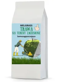 trawa-do-cienia-melgrass-pod-drzewa-25kg-park-brak-slonca-do-parku-1000m2