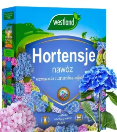 nawoz-do-hortensji-rododendronow-wrzosow-obfite-kwitnienie-1kg-westland