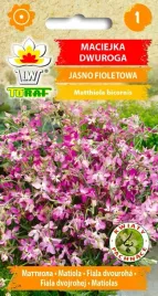 toraf-nasiona-maciejka-dwuroga-jednoroczna-intensywna-jasno-fioletowa-3g