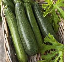 cukinia-astra-polka-dynia-zwyczajna-bardzo-plenna-nasiona-cukini-zielonej