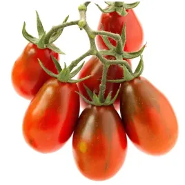 pomidory-sandybelle-koktajlowe-doniczkowe-bardzo-slodkie-nasiona-pomidorkow