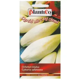 cykoria-salatowa-mechelse-middelvroeg-nasiona-02-g-biala-plantico