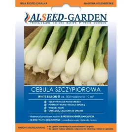 cebula-siedmiolatka-blanca-de-lisboa-nasiona-holenderskie-alseed-garden