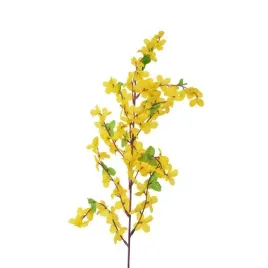 galazka-forsycji-z-liscmi-55-cm-zolte-kwiatki-kwiatek-wielkanoc-wiosna