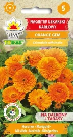 nagietek-lekarski-karlowy-orange-gem-nasiona-kwiatow-595-toraf