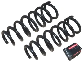 sprezyna-do-toyota-avensis-t25-2003-2008-tyl-2-sztuki