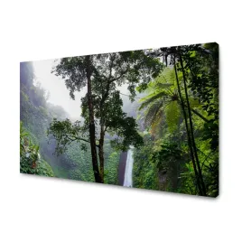 obraz-na-plotnie-natura-las-tropikalny-120x80-cm-tropikalne-rosliny-drzewa