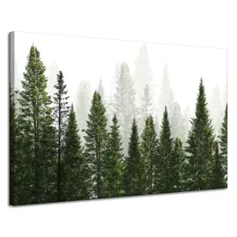 obraz-na-plotnie-deszczowy-las-natura-drzewa-120x80-cm