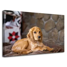 obraz-na-plotnie-zwierzeta-piesek-cocker-80x50-cm-spaniel-pies-szczeniak